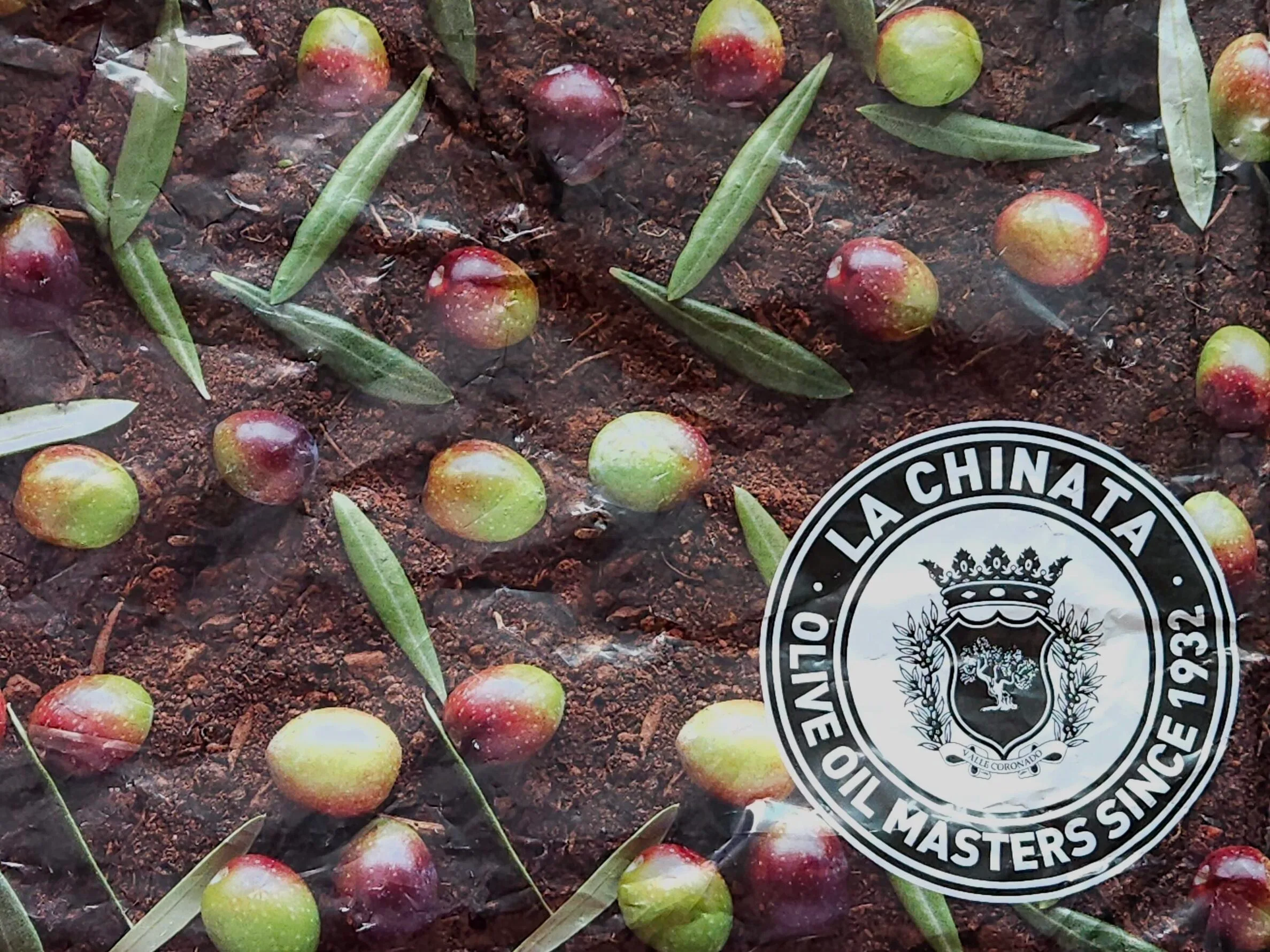 라치나타 쇼핑백