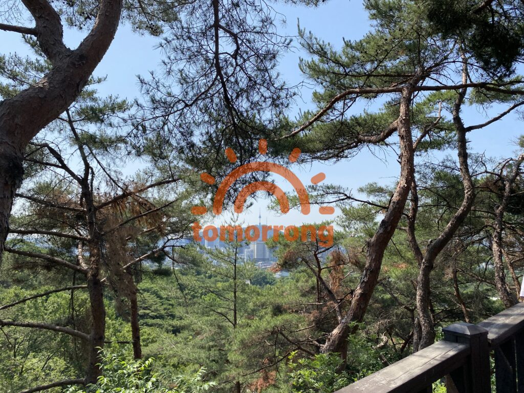 청와대 산책로 남산 뷰 사진 tomorrong